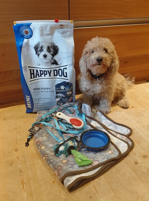 doodlewelpen vorbereitung